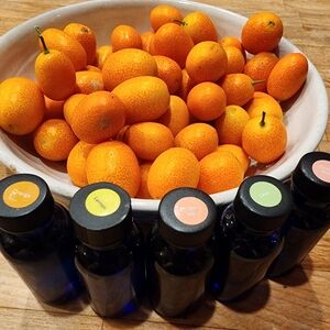 Citrus Pure Essential Oils Lime, Lemon, Orange, Tangerine & Grapefruit 1 oz each